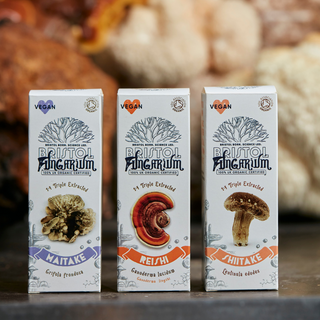 Bristol Fungarium Menopause Support Bundle