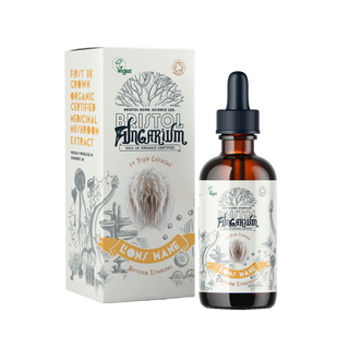 Bristol Fungarium Organic Lions Mane Tincture