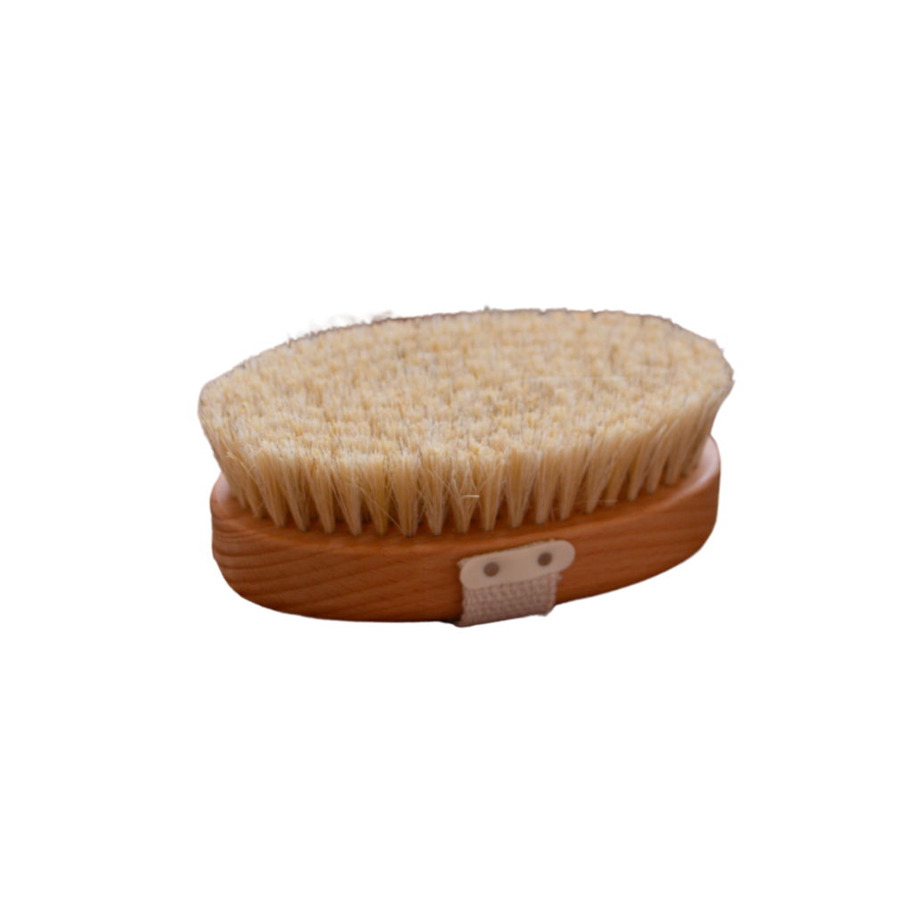 Ground Dry Body Brush Onolla